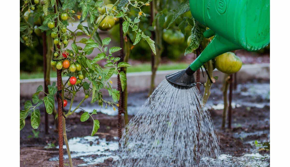 découvrez comment la récupération des eaux de pluie peut vous permettre de réaliser des économies significatives sur vos factures d'eau tout en préservant l'environnement. apprenez les meilleures techniques et astuces pour optimiser votre système de collecte d'eau de pluie.