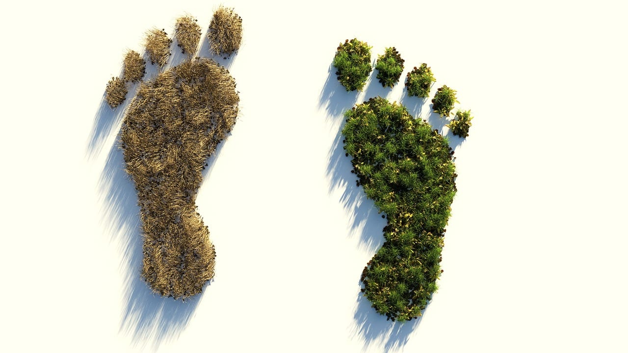 découvrez des conseils pratiques et efficaces pour réduire votre empreinte carbone au quotidien. apprenez à adopter des comportements écoresponsables et à contribuer à la lutte contre le changement climatique.
