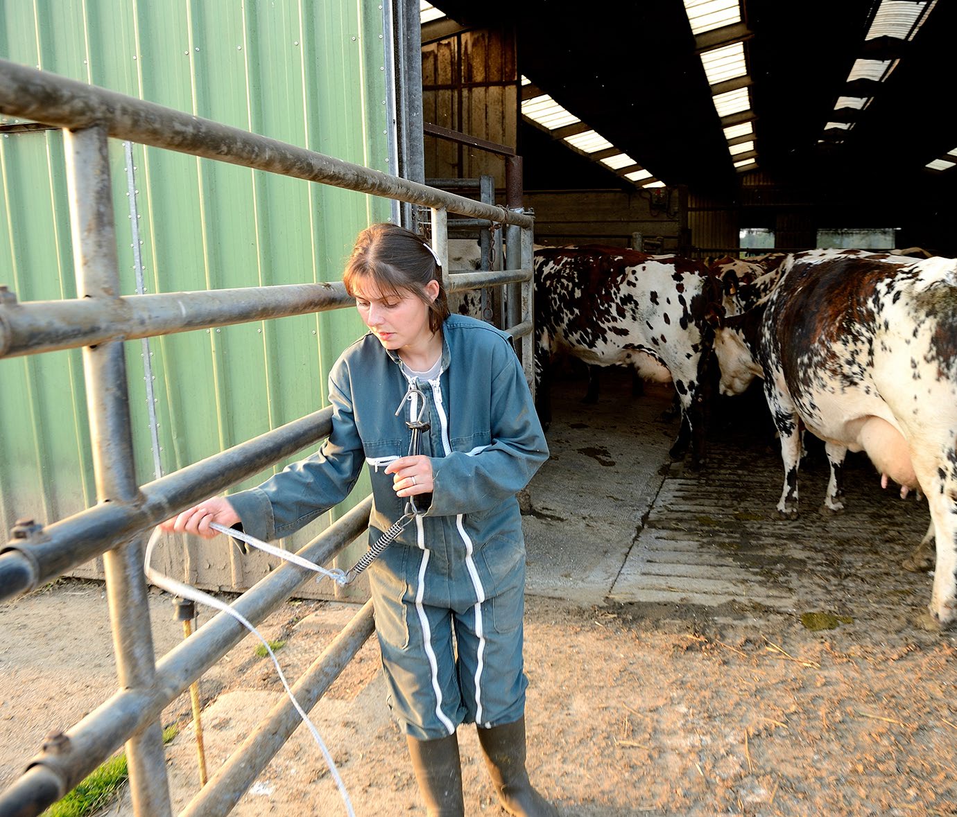 découvrez les dynamiques entre agriculteurs, les défis qu'ils rencontrent et l'importance de leurs relations pour le développement durable de l'agriculture. explorez les initiatives collaboratives qui renforcent les liens entre les exploitations et favorisent une agriculture plus responsable.