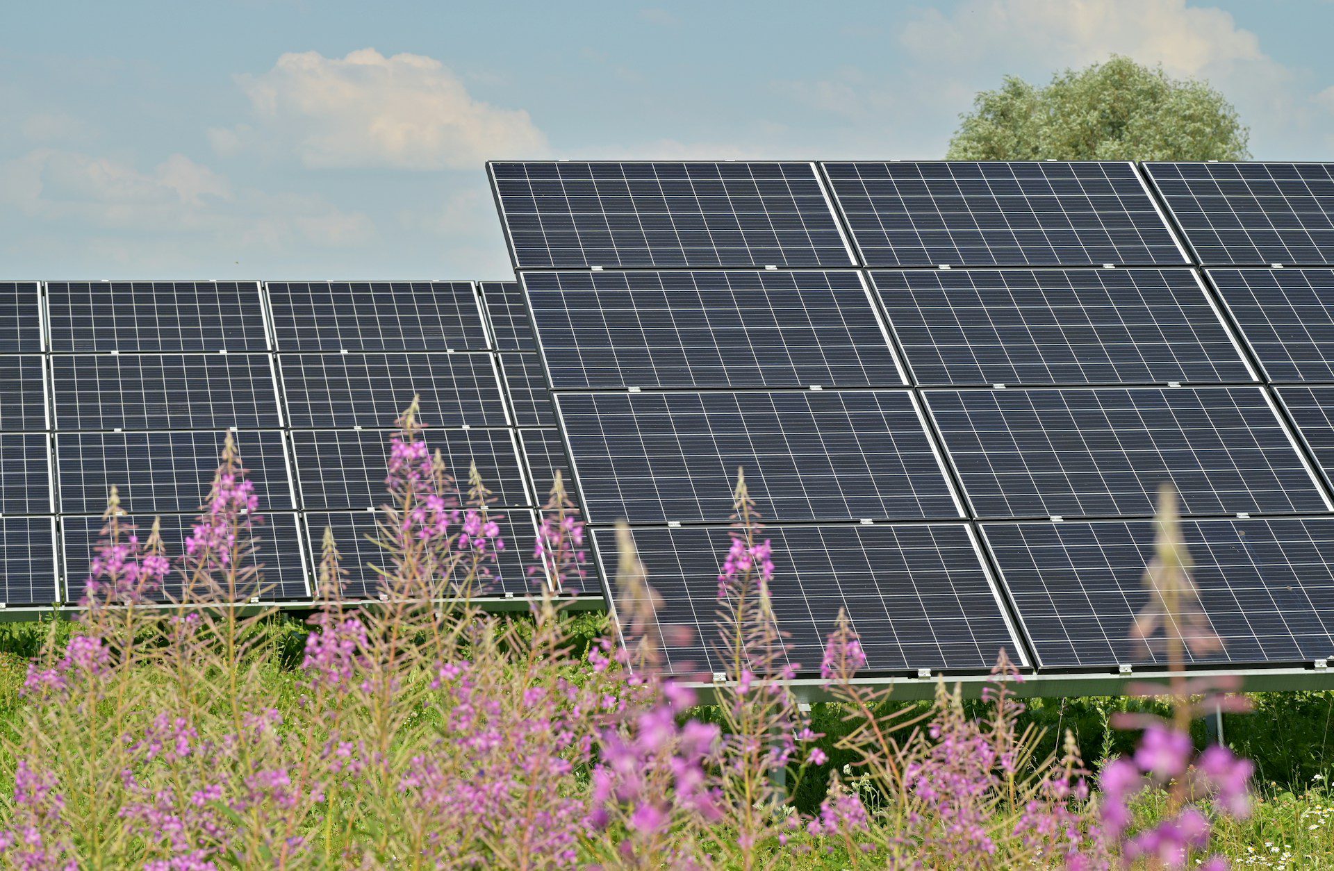 découvrez comment maximiser la rentabilité de vos investissements en panneaux photovoltaïques dans le secteur agricole. analyse des avantages économiques, des aides disponibles et des meilleures pratiques pour optimiser la production d'énergie solaire sur vos terres.