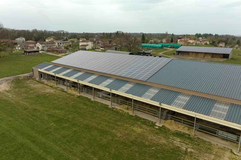 découvrez comment nos panneaux solaires sont conçus pour résister aux intempéries dans les hangars agricoles, garantissant efficacité et durabilité, peu importe les conditions climatiques.