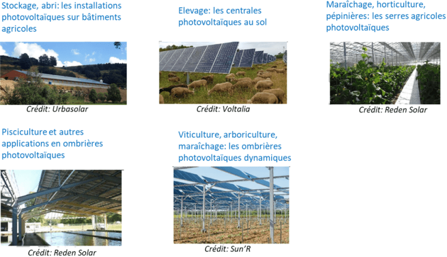 découvrez les expériences des agriculteurs concernant les subventions photovoltaïques. informez-vous sur les avantages, les défis et les témoignages inspirants de ceux qui ont intégré l'énergie solaire dans leurs exploitations.