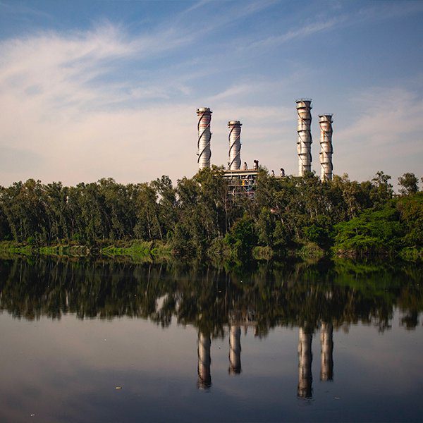 découvrez comment la révolution de la durabilité transforme notre monde en repensant la production, la consommation et l'innovation. explorez des solutions pour un avenir plus respectueux de l'environnement.
