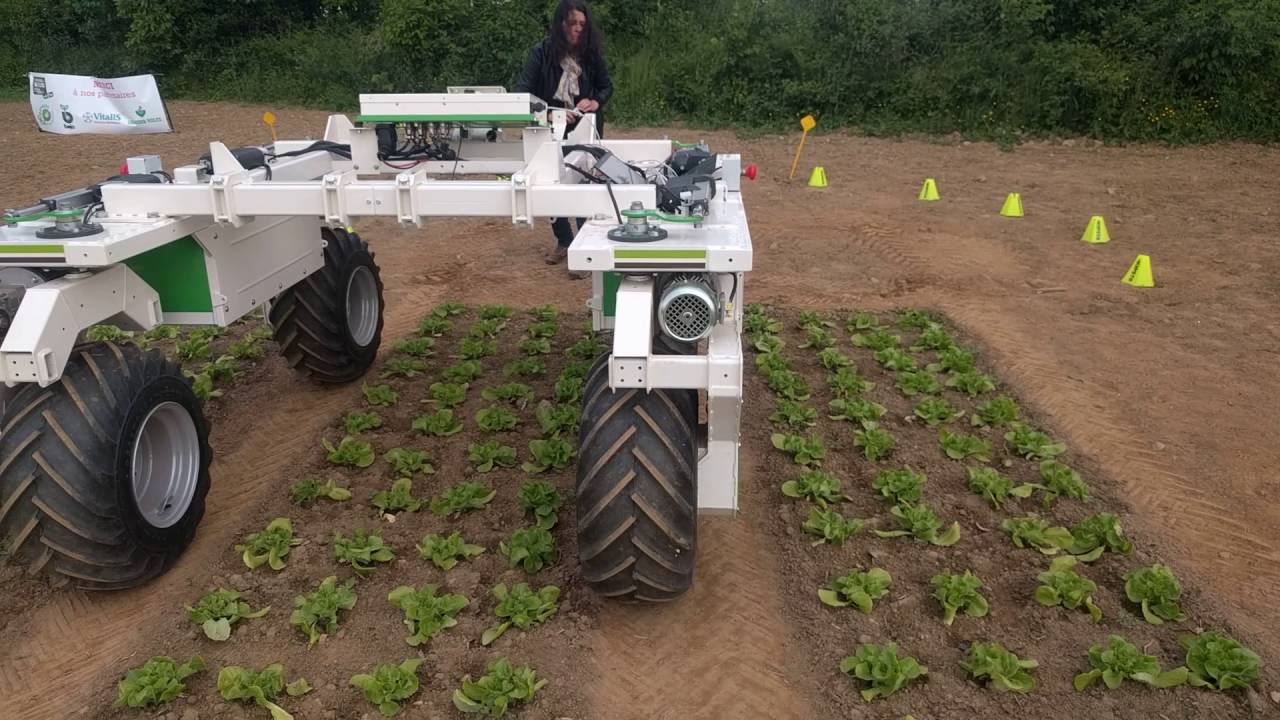 découvrez l'univers des robots agricoles, ces innovations révolutionnaires qui optimisent les récoltes, améliorent la productivité et préservent l'environnement. explorez comment ces machines intelligentes transforment l'agriculture moderne.