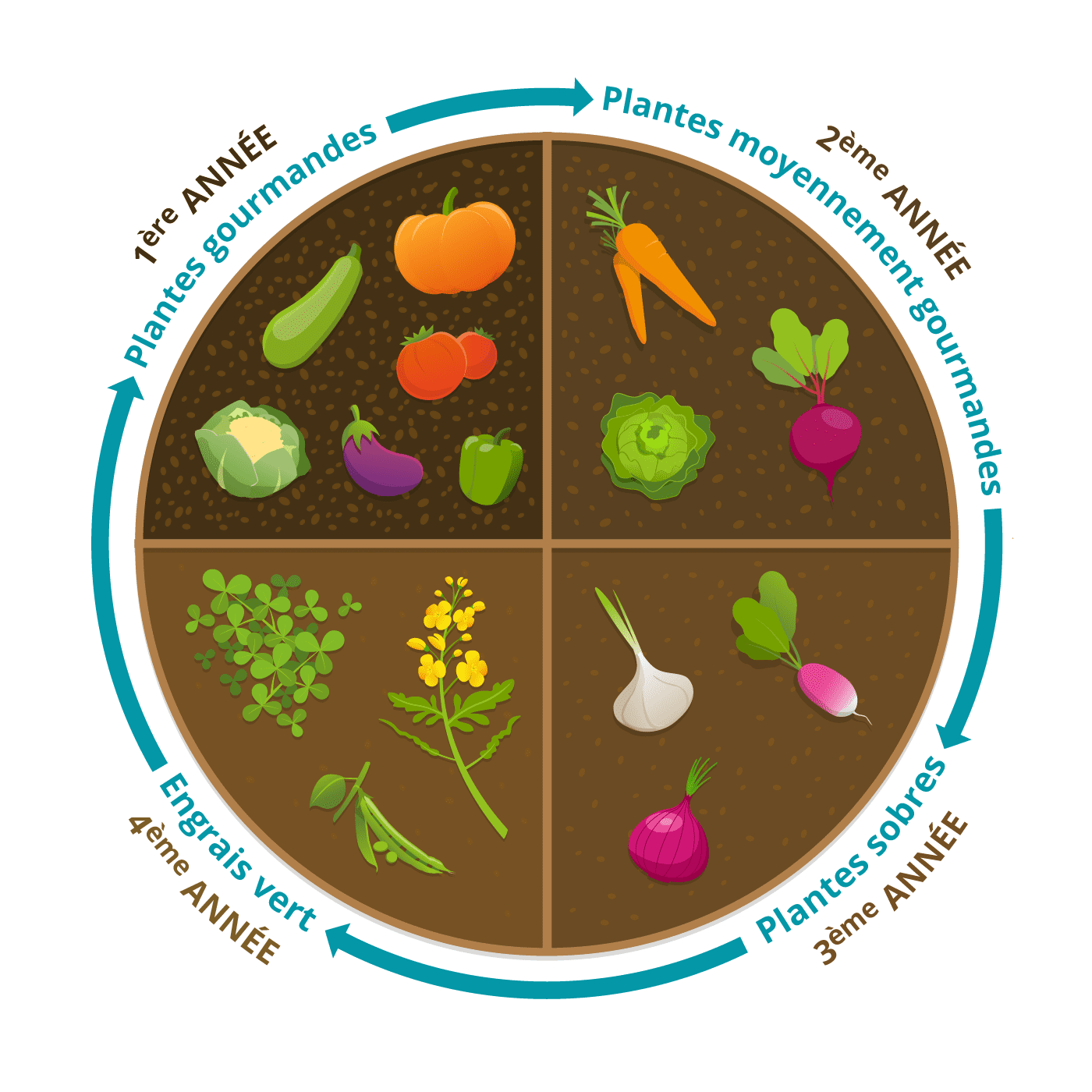 découvrez les avantages de la rotation des cultures pour améliorer la fertilité des sols, réduire les maladies des plantes et optimiser les rendements agricoles. apprenez comment diversifier vos cultures pour une agriculture durable et respectueuse de l'environnement.