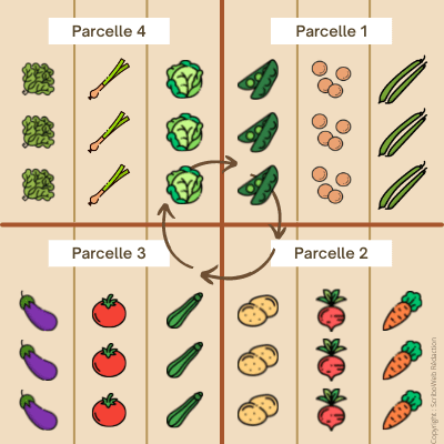 découvrez l'importance de la rotation des cultures pour maintenir la santé des sols, optimiser les rendements agricoles et promouvoir la biodiversité. explorez les meilleures pratiques et les bienfaits d'une gestion durable des cultures.