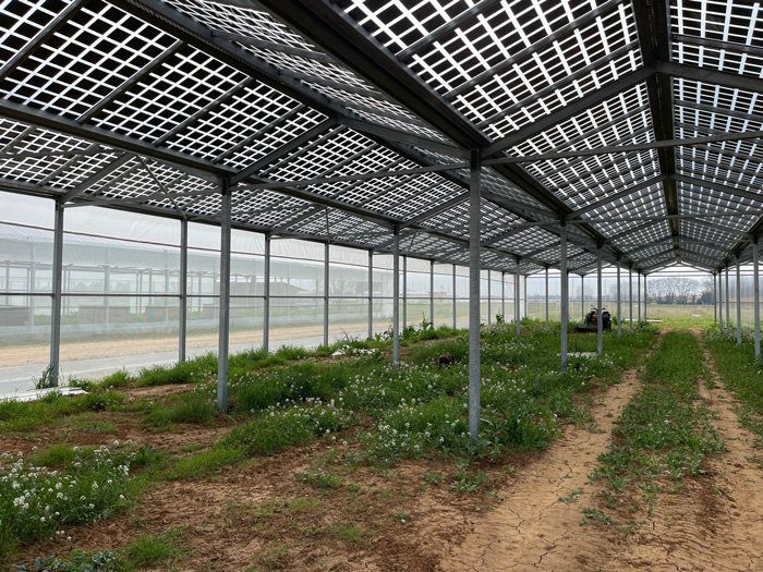 découvrez comment bénéficier d'une serre photovoltaïque gratuite et maximisez votre production énergétique tout en cultivant vos plantes. profitez d'une solution écologique et économique pour votre jardin.