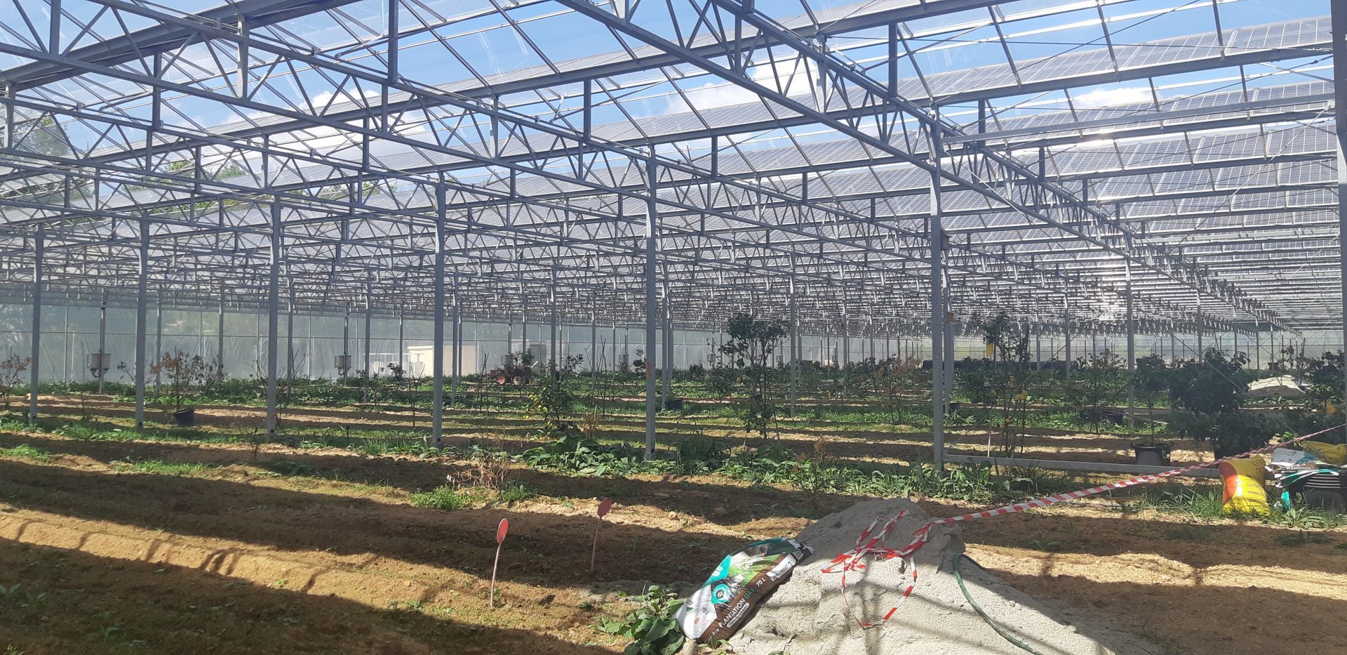 découvrez comment bénéficier d'une serre photovoltaïque gratuite pour optimiser votre production agricole tout en préservant l'environnement. profitez d'une technologie innovante pour cultiver vos plantes en toute saison, tout en générant de l'énergie renouvelable.