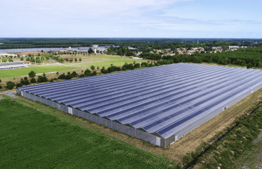 découvrez comment bénéficier d'une serre photovoltaïque gratuite pour optimiser votre production agricole tout en profitant d'une énergie renouvelable. transformez votre exploitation avec cette solution écologique et économique.