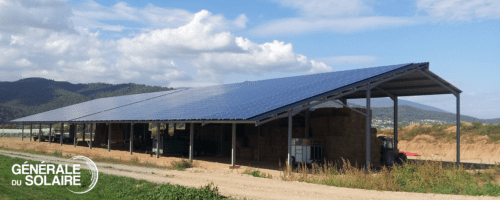 découvrez comment les panneaux solaires pour hangars agricoles peuvent réduire vos coûts d'énergie, augmenter votre autonomie et contribuer à une agriculture durable. optez pour une solution innovante qui valorise vos infrastructures tout en préservant l'environnement.