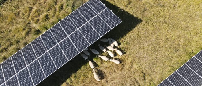 découvrez les solutions agripower durables, innovantes et respectueuses de l'environnement. optimisez vos pratiques agricoles tout en préservant la planète grâce à nos technologies et produits écologiques.