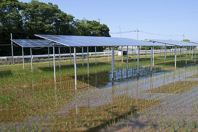 découvrez nos solutions photovoltaïques spécialement conçues pour les agriculteurs de la gironde. optimisez votre production énergétique tout en contribuant à une agriculture durable grâce à l'énergie solaire.