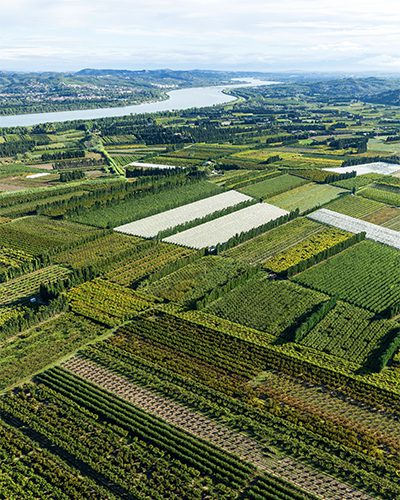 découvrez nos solutions voltagri pour promouvoir une agriculture durable. optimisez vos pratiques agricoles tout en respectant l'environnement grâce à nos innovations adaptées et efficaces.