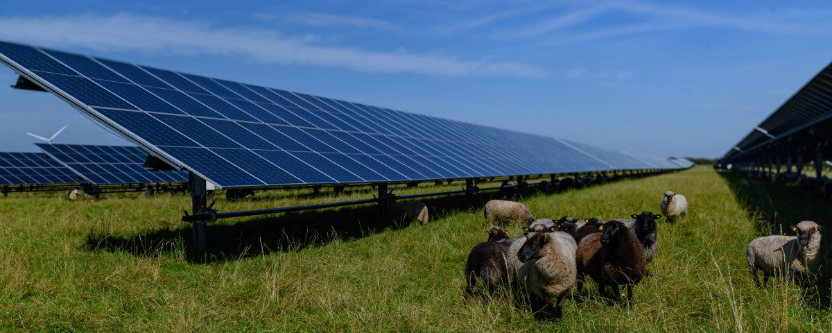 découvrez comment les agriculteurs peuvent bénéficier des sources photovoltaïques pour optimiser leur production, réduire leurs coûts énergétiques et contribuer à la transition énergétique. explorez les solutions adaptées à votre exploitation agricole et les avantages d'une installation solaire.