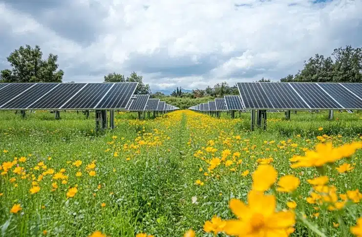découvrez comment les sources photovoltaïques peuvent transformer l'agriculture moderne. optimisez vos rendements et réduisez vos coûts énergétiques grâce à des solutions solaires adaptées aux agriculteurs.