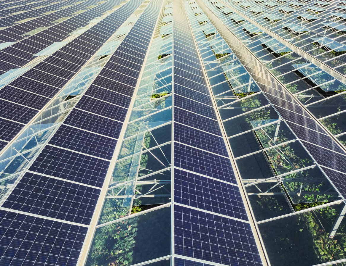 découvrez nos solutions de soutien pour hangars photovoltaïques, optimisant votre espace tout en maximisant la production d'énergie solaire. transformez vos structures existantes en véritables centrales vertes et participez à la transition énergétique.