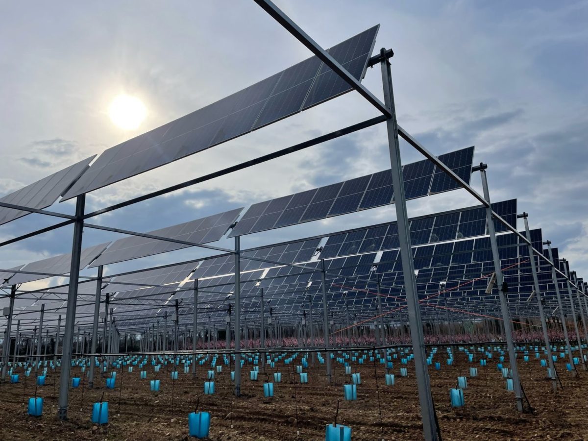 découvrez sun'agri, pionnier de l'agriculture durable, qui allie innovation et respect de l'environnement pour des pratiques agricoles responsables et performantes. rejoignez-nous pour une agriculture qui préserve la planète tout en garantissant des récoltes durables.