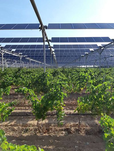 découvrez sun'agri, une entreprise innovante dédiée à l'agriculture durable. explorez nos solutions pour optimiser la production agricole tout en préservant l'environnement et en garantissant un avenir durable pour les générations futures.