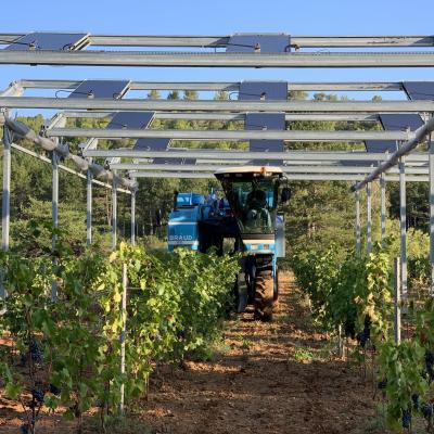 découvrez sun'agri, l'innovation au service de l'agriculture durable. explorez nos solutions écologiques pour maximiser vos rendements tout en respectant l'environnement.