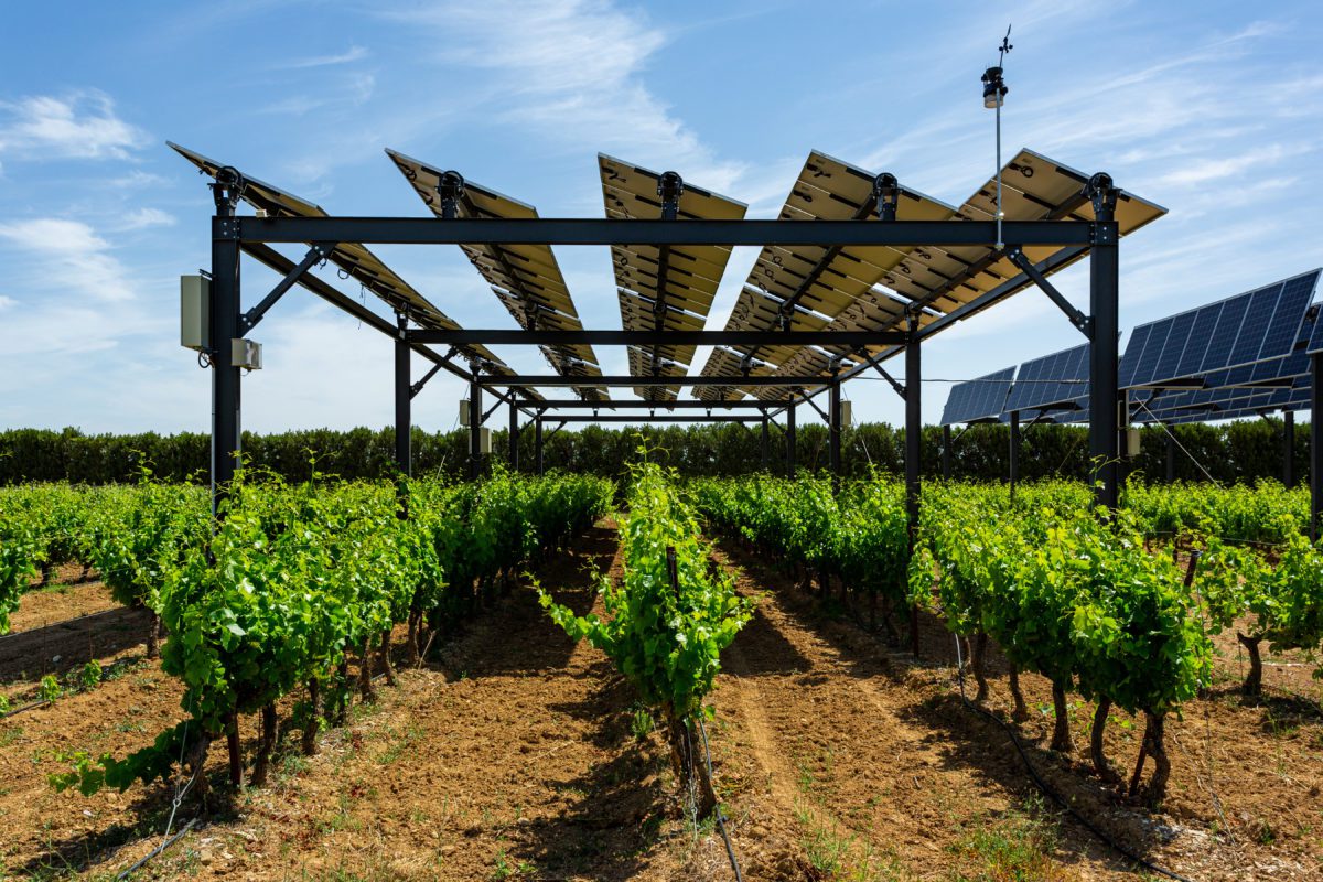 découvrez sun'agri, une initiative révolutionnaire dédiée à l'agriculture durable. nous proposons des solutions innovantes pour optimiser la production tout en préservant l'environnement. rejoignez-nous dans notre mission pour un avenir agricole respectueux des ressources naturelles.