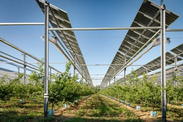 découvrez sun'agri, le leader de l'agriculture durable, qui allie innovation et respect de l'environnement pour optimiser vos récoltes tout en préservant la planète. rejoignez le mouvement vers une agriculture responsable et durable.