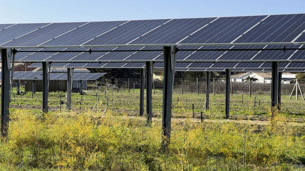 découvrez comment les systèmes photovoltaïques agricoles transforment l'agriculture durable. maximisez vos rendements tout en réduisant votre empreinte carbone grâce à l'énergie solaire. apprenez les avantages, les technologies et les solutions adaptées à vos besoins.