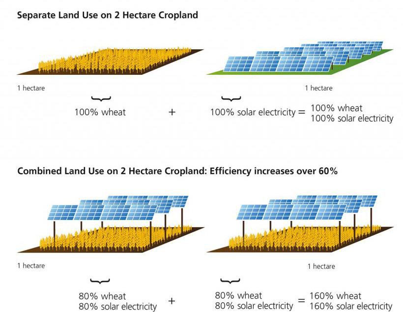 découvrez comment les systèmes photovoltaïques agricoles révolutionnent l'agriculture durable en optimisant la production d'énergie tout en réduisant les coûts. explorez les bénéfices, les technologies innovantes et les installations adaptées aux exploitations agricoles pour une transition énergétique réussie.
