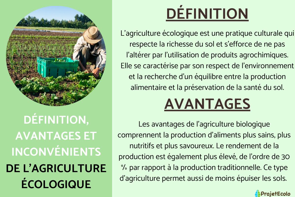 découvrez des techniques d'agriculture écologique qui favorisent la durabilité, préservent la biodiversité et optimisent l'utilisation des ressources naturelles. apprenez comment ces pratiques respectueuses de l'environnement peuvent améliorer la productivité tout en protégeant notre planète.