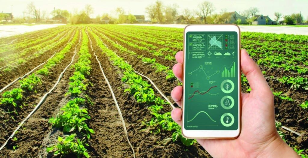 découvrez comment la technologie transforme le secteur agricole, améliorant l'efficacité des cultures et promouvant des pratiques durables grâce à l'innovation et aux nouvelles techniques.