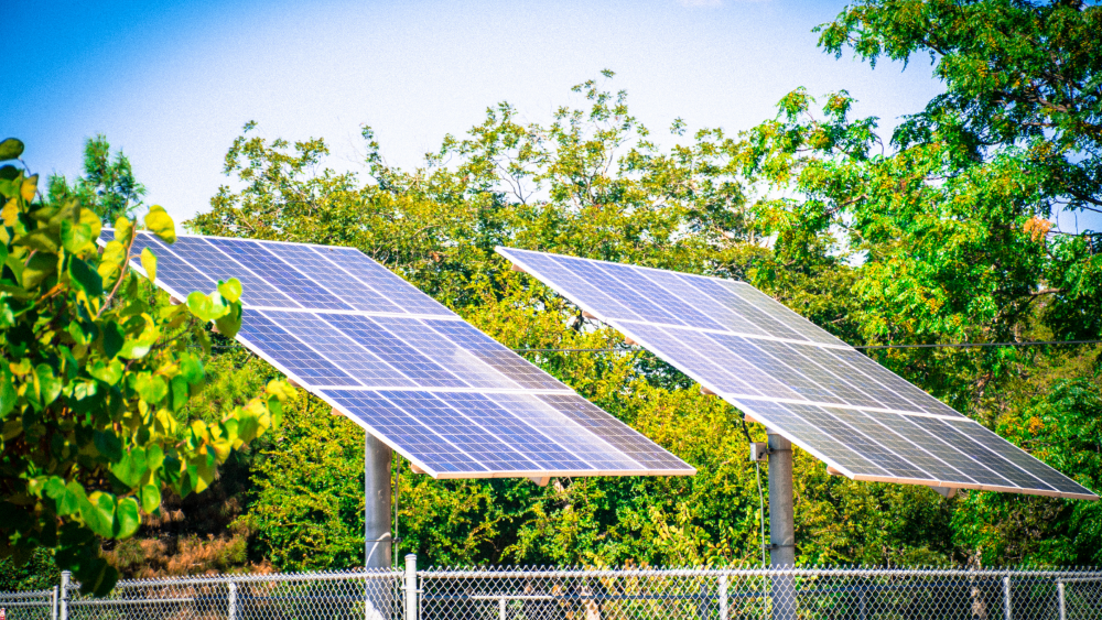 découvrez comment les technologies vertes transforment notre approche face au climat en proposant des solutions durables pour un avenir respectueux de l'environnement. explorez les innovations qui luttent contre le changement climatique et favorisent un développement écologique.