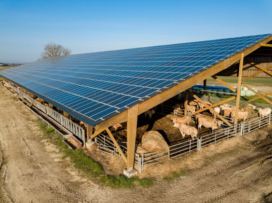 découvrez notre terrain idéal pour la ferme solaire, offrant un emplacement stratégique et un potentiel d'énergie renouvelable élevé. investissez dans un avenir durable tout en bénéficiant d'une rentabilité optimisée grâce à l'exploitation de l'énergie solaire.