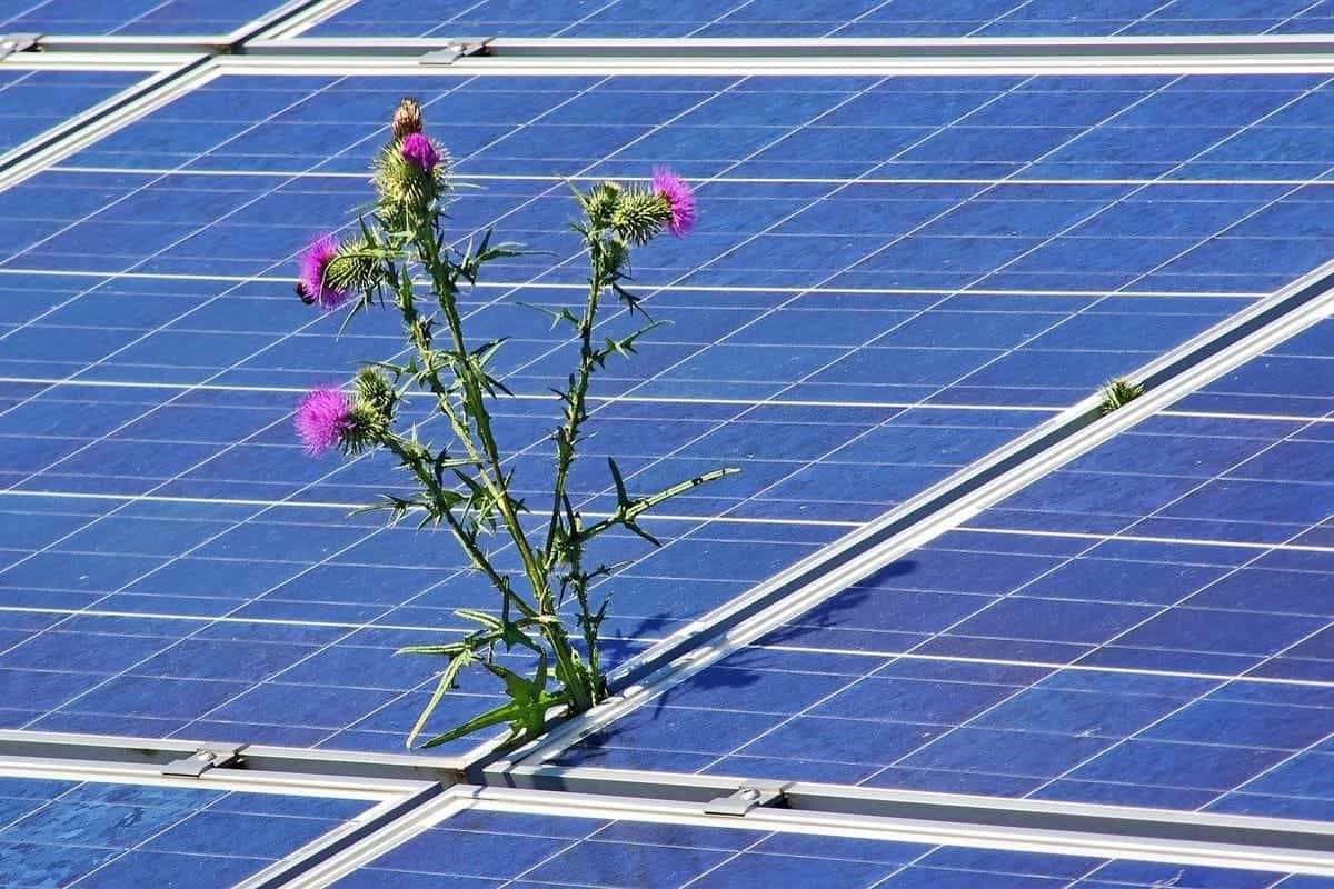 découvrez comment la transition énergétique agricole transforme les pratiques agricoles en adoptant des solutions durables, réduisant les émissions de carbone et optimisant l'utilisation des ressources. explorez les enjeux, les technologies émergentes et les initiatives pour un avenir plus vert et responsable.