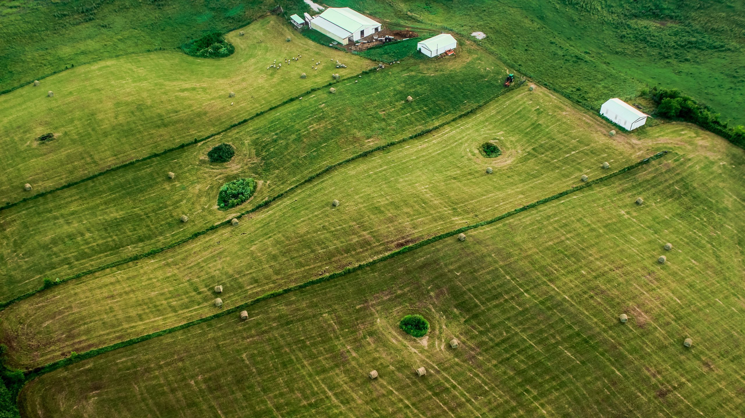 découvrez comment l'urbanisme s'applique à la transformation des hangars agricoles en espaces polyvalents, alliant fonctionnalité et esthétisme. explorez les enjeux réglementaires et les tendances de réhabilitation qui redéfinissent l'usage des bâtiments agricoles dans nos territoires.