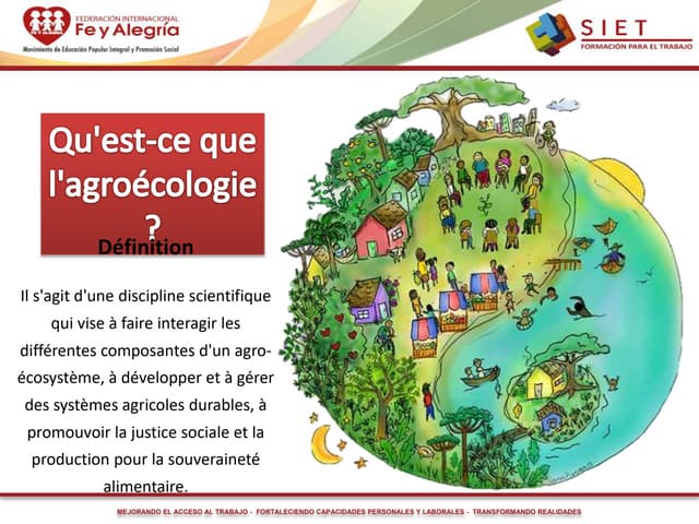découvrez la différence entre agroécologie et pratiques agricoles conventionnelles. apprenez comment l'agroécologie favorise la durabilité, la biodiversité et une production alimentaire respectueuse de l'environnement.