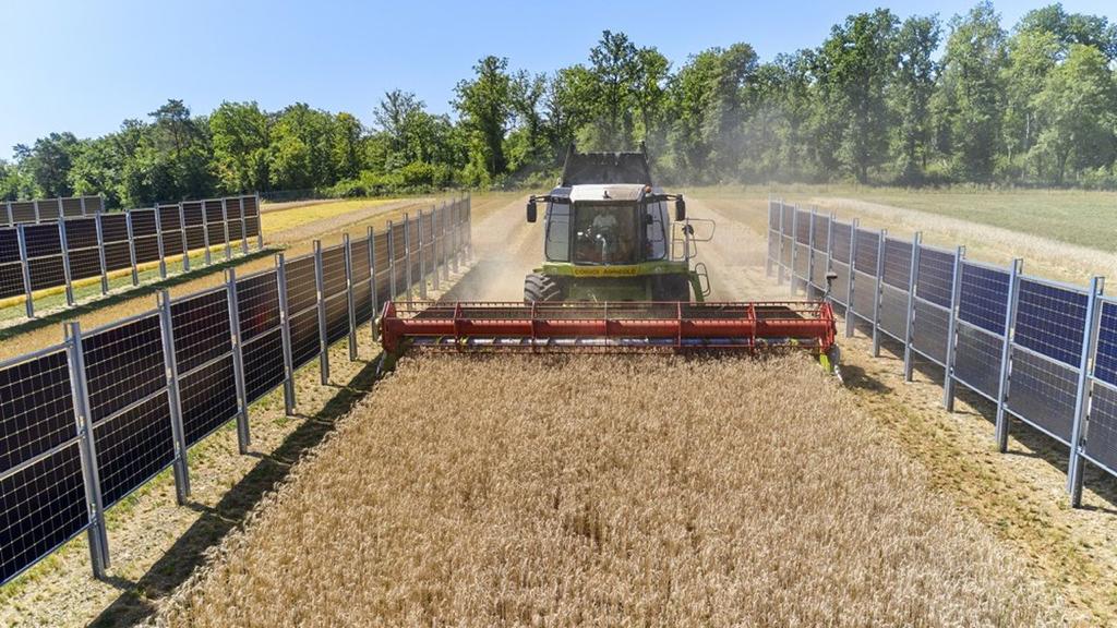 découvrez comment sensibiliser efficacement les agriculteurs aux avantages de l'énergie solaire. apprenez les meilleures pratiques pour intégrer des solutions énergétiques durables dans l'agriculture et contribuer à un avenir plus vert tout en réduisant les coûts d'exploitation.