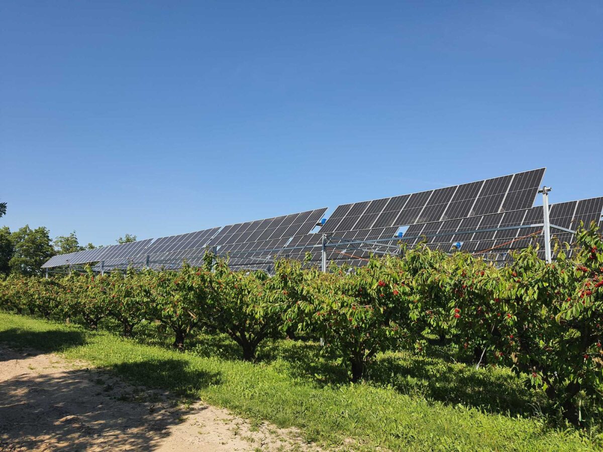 découvrez comment les centrales photovoltaïques agricoles transforment les exploitations en sites durables. maximisez la rentabilité de vos terres tout en contribuant à la transition énergétique grâce à l'énergie solaire.