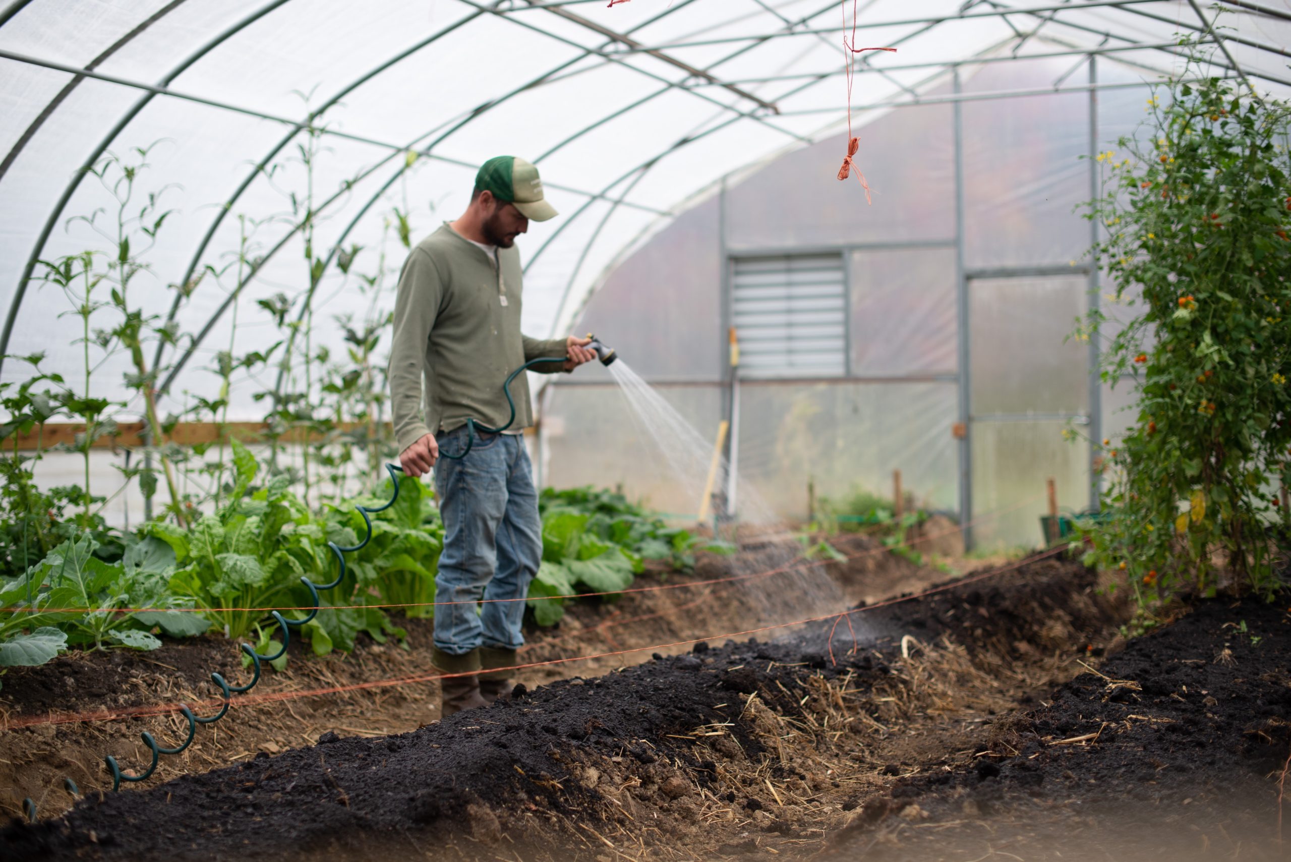 découvrez les meilleures options pour choisir des circuits agricoles adaptés à vos besoins. explorez les avantages des circuits courts et apprenez comment soutenir l'agriculture locale tout en bénéficiant de produits frais et de qualité.