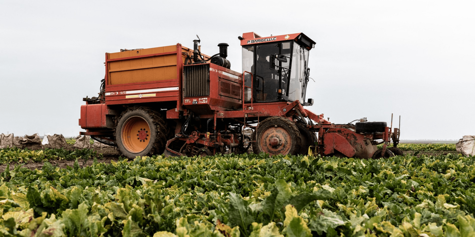 découvrez les dernières innovations agricoles de 2023 qui révolutionnent le secteur. de l'agriculture de précision aux nouvelles technologies durables, explorez comment ces avancées améliorent la productivité et préservent l'environnement.
