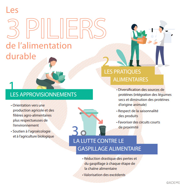 découvrez comment des régimes alimentaires spécifiques peuvent influencer votre niveau d'énergie au quotidien. apprenez à choisir les bons aliments pour augmenter votre vitalité et améliorer votre bien-être général.