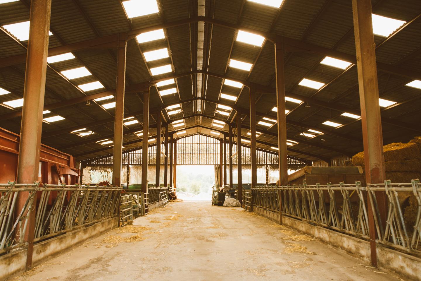 découvrez notre comparatif détaillé des hangars biologiques. analysez les différents modèles, caractéristiques et avantages pour choisir la meilleure option pour vos besoins en agriculture durable et en préservation de l'environnement.