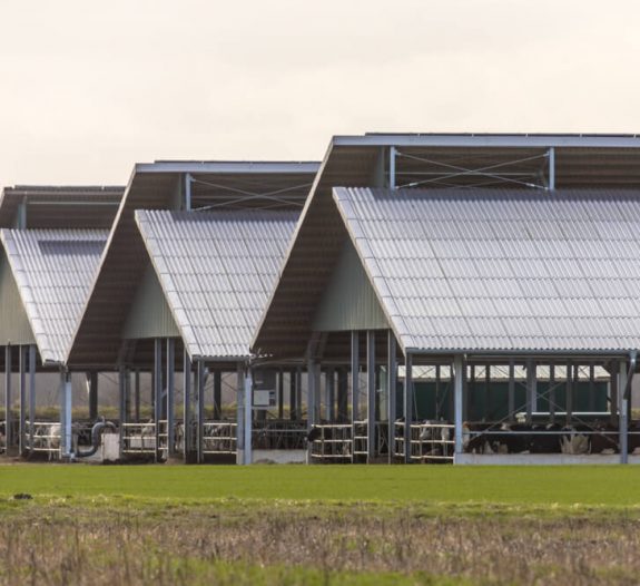 découvrez notre comparatif des hangars photovoltaïques de 300 kwc, où nous analysons les meilleures options disponibles sur le marché. évaluez les caractéristiques, les performances et les avantages pour optimiser votre investissement en énergie renouvelable.