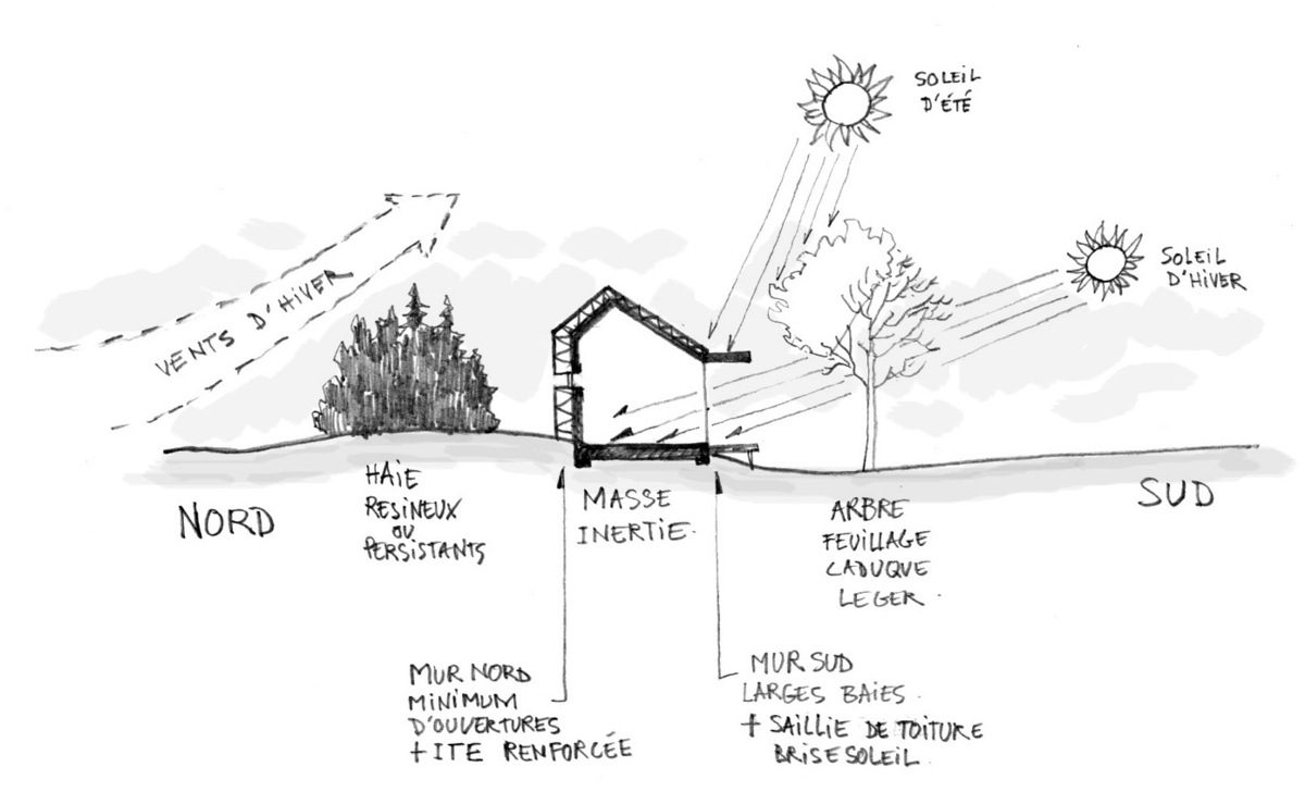 découvrez les meilleures pratiques écologiques pour réduire votre empreinte carbone et protéger notre planète. adoptez des habitudes durables au quotidien et inspirez-vous de conseils pratiques pour vivre en harmonie avec l'environnement.