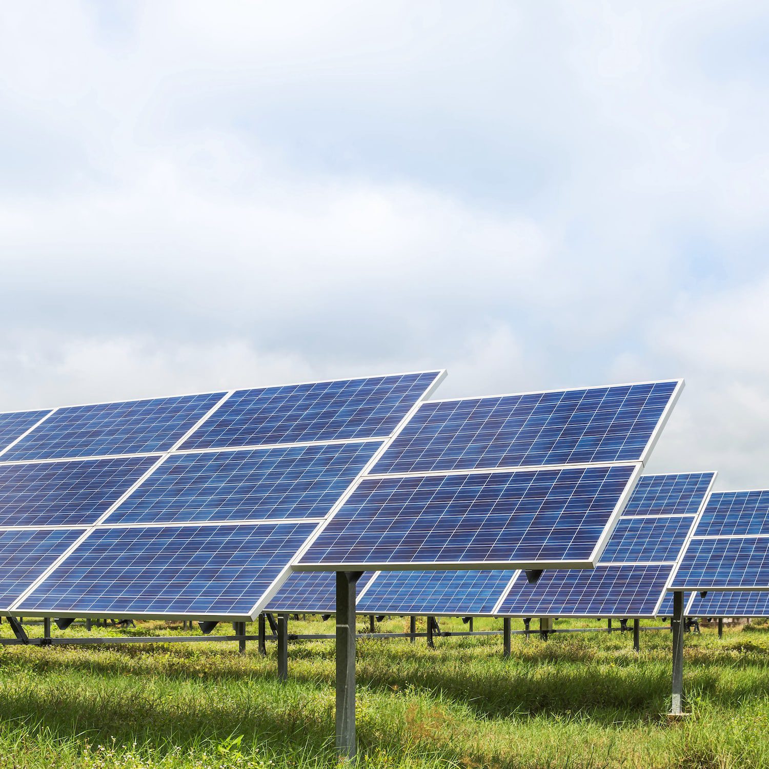découvrez notre comparatif des solutions photovoltaïques agricoles, une analyse approfondie des meilleures options pour optimiser votre production d'énergie tout en respectant l'environnement. évaluez les avantages, coûts et performances des différentes technologies disponibles pour transformer les exploitations agricoles en acteurs de la transition énergétique.