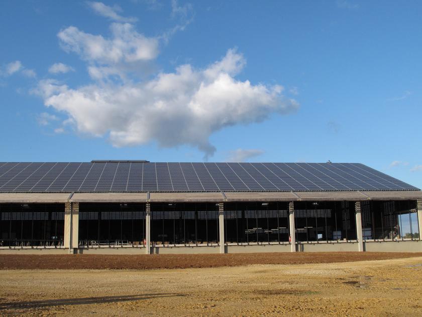 découvrez les meilleures options de financement pour la construction de votre hangar photovoltaïque. maximisez votre retour sur investissement tout en contribuant à une énergie durable. obtenez des conseils d'experts pour choisir la solution adaptée à vos besoins.