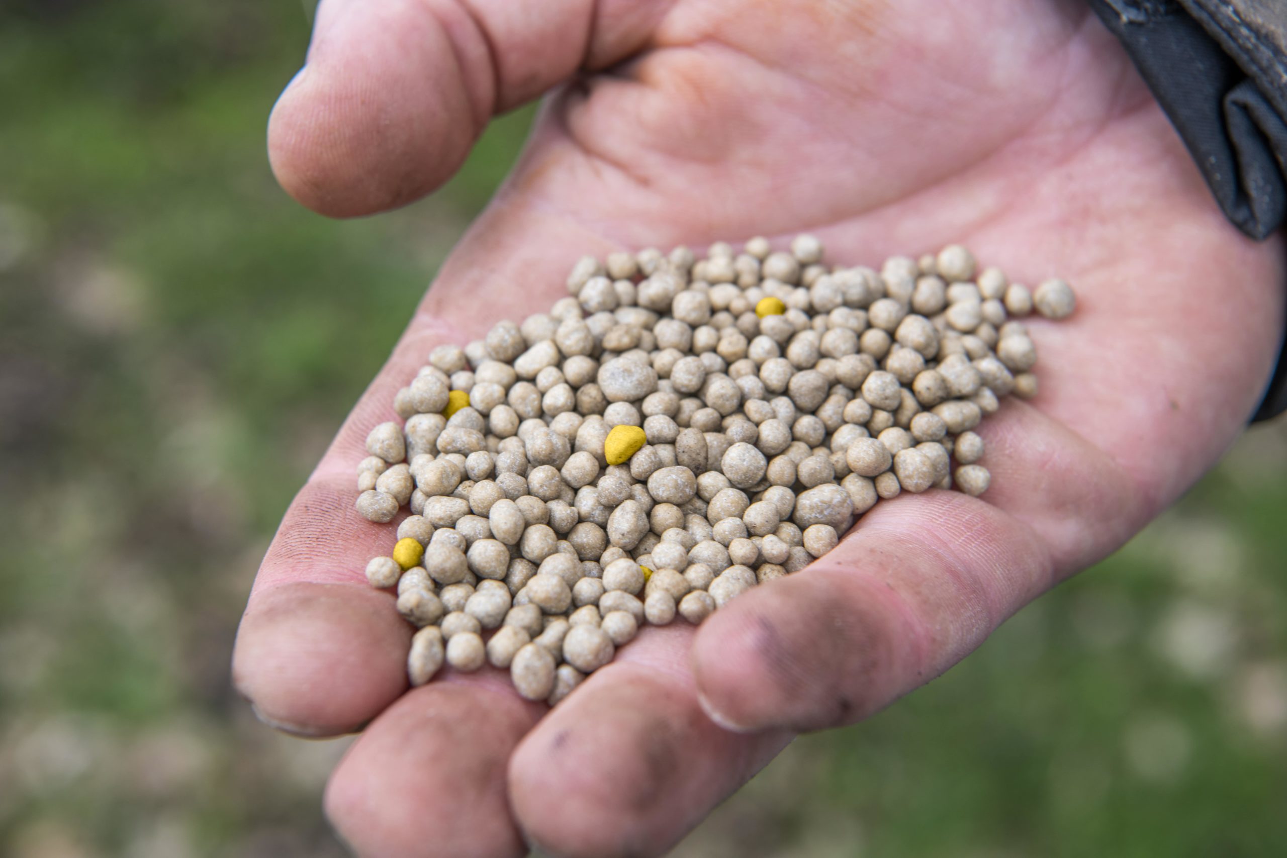 découvrez les pratiques agridurables, une approche innovante pour allier agriculture durable et respect de l'environnement. apprenez comment ces méthodes préservent les ressources naturelles tout en garantissant des rendements optimaux pour un avenir agricole responsable.