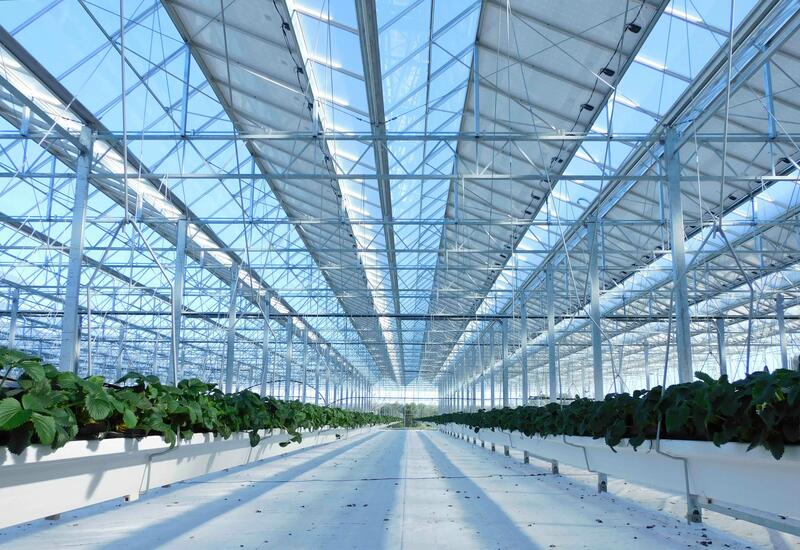 découvrez les serres solaires agricoles, une solution innovante qui maximise la production tout en réduisant l'impact environnemental. optimisez vos cultures grâce à l'énergie solaire et bénéficiez d'une ambiance contrôlée pour des récoltes de qualité. explorez les avantages et les techniques des serres solaires pour une agriculture durable et rentable.