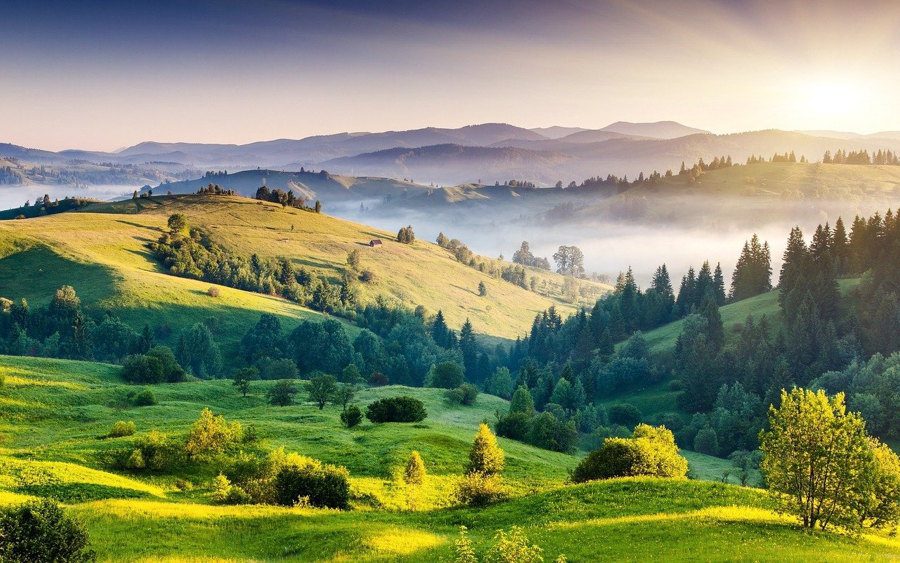 découvrez l'harmonie entre la terre, la nature et la technologie à travers des sons apaisants et inspirants. plongez dans un univers sonore unique qui allie les éléments naturels et l'innovation, pour une expérience immersive inoubliable.