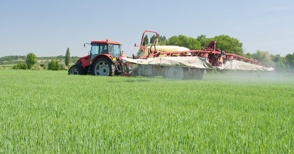 découvrez les perspectives et les innovations des plans de vol agricoles pour 2025. explorez les enjeux, les tendances et les stratégies qui façonneront l'agriculture durable et la production alimentaire de demain.