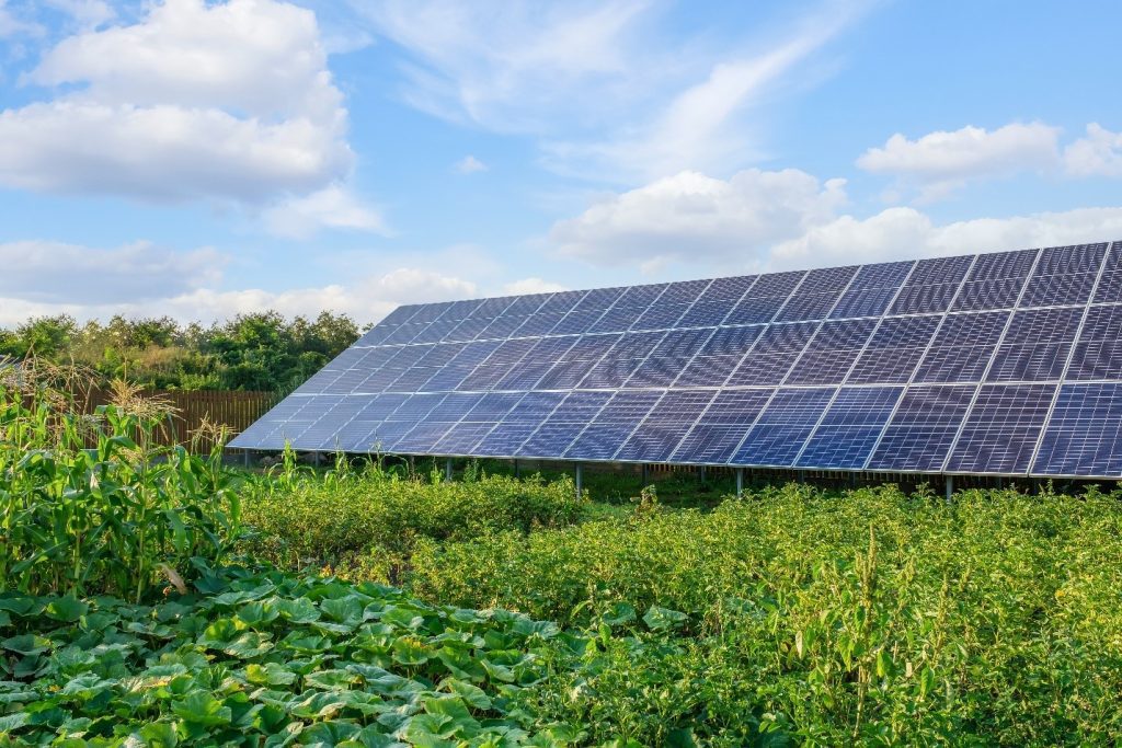 découvrez comment les systèmes photovoltaïques agricoles transforment l'énergie solaire en atouts durables pour les exploitation agricoles. optimisez votre production tout en respectant l'environnement et en réduisant vos coûts énergétiques.
