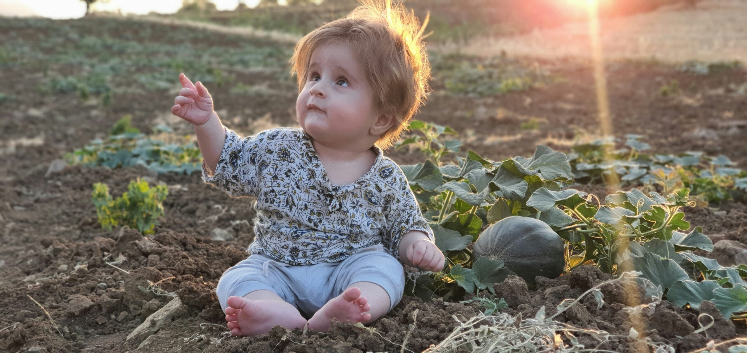découvrez la réalité des surfaces agricoles en france, leur évolution, les enjeux environnementaux et économiques qui les entourent, ainsi que les perspectives d'avenir pour une agriculture durable.